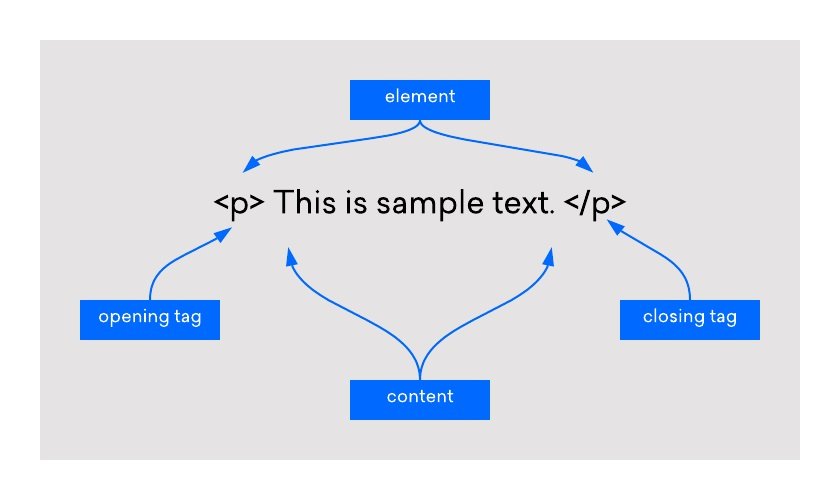 HTML Elements: What They Are and How to Use Them