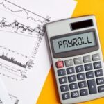 Payroll Audits