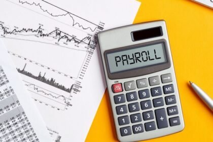 Payroll Audits