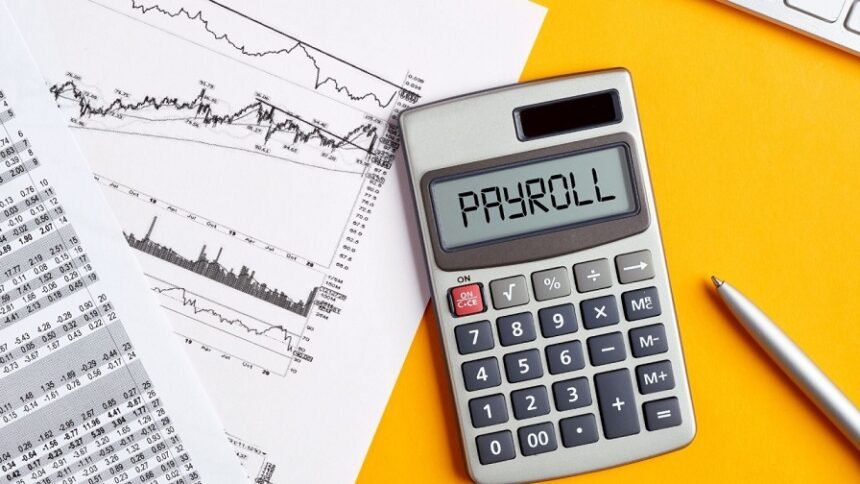 Payroll Audits