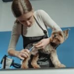 3 Essential Services Every Pet Business Should Offer for Success