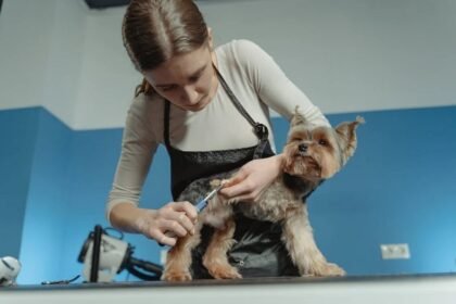 3 Essential Services Every Pet Business Should Offer for Success